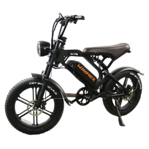 Bicicleta eléctrica DB01