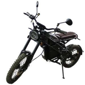 Motocicleta eléctrica DM01