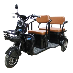 Triciclo eléctrico FX101