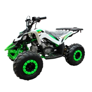 Cuatrimoto MH110