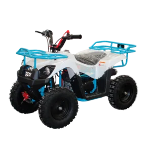 Cuatrimoto mini MH50