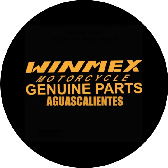 Winmex Aguascalientes